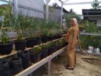 Camat Lalabata Dukung Gertak Petani
