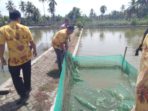 Dua Hari Menjabat, PLT Kepala DPKP Blusukan ke Sejumlah Balai Benih