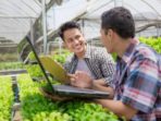 Program Petani Millenial Akan Hadir Di Soppeng