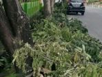 Angkut Sampah Tebangan, Pemkab Soppeng Pungut Biaya