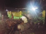 Pohon Tumbang di Laburawung, Rumah Warga Jadi Korban