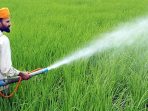 30 Petani di Desa Timbuseng Akan dapat Bantuan alat semprot