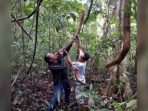 Kadis TPHPKP Soppeng Cari Tahu Mengenai Tanaman Penyembuh Kanker Ini