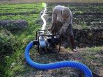 Bantu Kekeringan di Soppeng, Pemprov Sulsel Bakal Pinjamkan 10 Unit Pompa Air