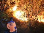 Oktober, Kebakaran di Soppeng Capai 213 Kasus
