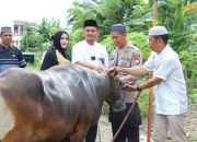 Idul Adha 1444 H, Polres Soppeng Qurban 5 Ekor Sapi