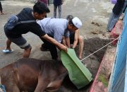 Rutan Watansoppeng Sambut Idul Adha dengan Aksi Mulia: Bagikan Daging Qurban Kepada Warga 