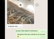 Oknum Guru Diduga jadi Biang Kerok Viralnya Video Bully SMA 3 Takalar