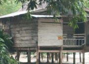 Diterjang Arus Sungai Langkemme, Rumah Panggung di Soppeng Hanyut