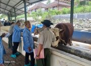 Perkuat Sektor Peternakan, Bupati Soppeng Kunjungi BBPP Batu Jawa Timur