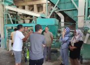 Mitra Bulog Jamin Gabah Petani Soppeng Terserap dengan Baik