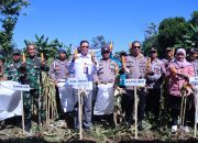 Wabup Takalar Bersama Forkopimda Panen Raya Jagung