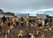 Dari Balik Jeruji Lahir Petani, Rutan Watansoppeng Gelar Panen Raya Jagung