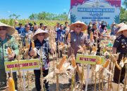 Wabup Takalar Panen Raya Jagung bersama Presiden Prabowo