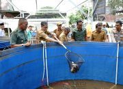 Wabup Soppeng Hadiri Panen Perdana Budidaya Ikan Nila Sistem Bioflok di Desa Soga