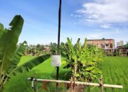 Listrik Masuk Sawah, Harapan Baru Petani Enrekeng