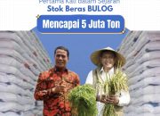 Cadangan Beras RI Sentuh 5 Juta Ton Bulog Soppeng Siapkan 62 Ribu Ton