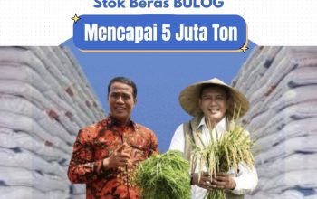 Cadangan Beras RI Sentuh 5 Juta Ton Bulog Soppeng Siapkan 62 Ribu Ton