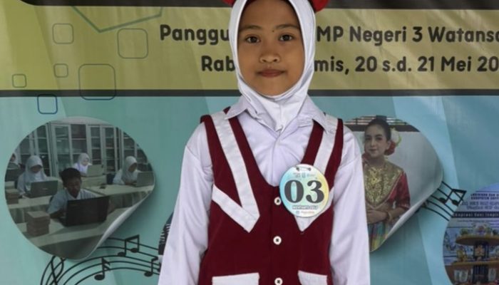 Siswa SD 148 Sanuale  Rebut Juara Pertama Tingkat Kabupaten