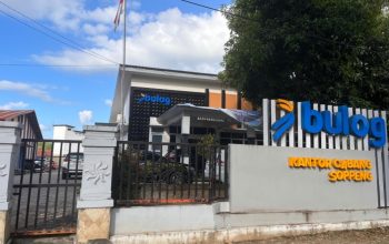 Serapan BULOG Tembus 3 Juta Ton, Soppeng Sumbang 74 Ribu Ton 