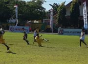 SDN 136 Labessi dan SDN 224 Pallawa Pesta Kemenangan di Liga Anak Mario