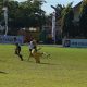 SDN 136 Labessi dan SDN 224 Pallawa Pesta Kemenangan di Liga Anak Mario